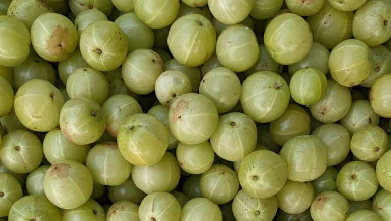 Health Benefits of Indian Gooseberry : Mohit Tandon Chicago