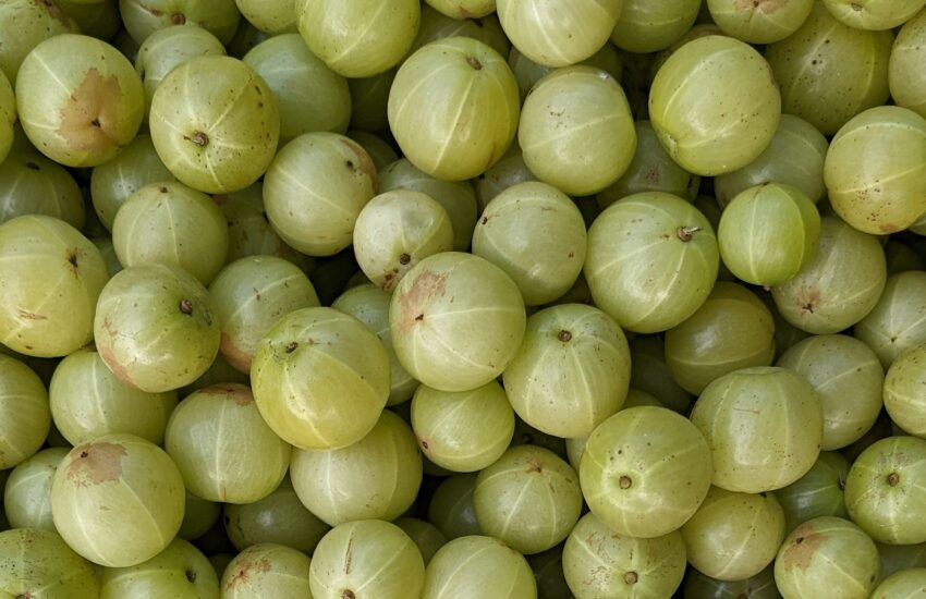 Health Benefits of Indian Gooseberry : Mohit Tandon Chicago