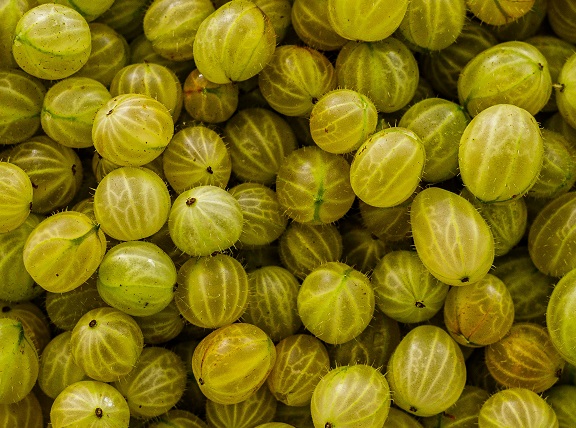 Health Benefits of Indian Gooseberry : Mohit Tandon Chicago