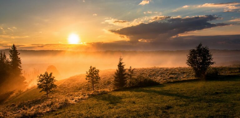 15 Benefits of Morning Sunlight