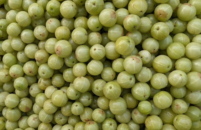 Amla Health Benefits