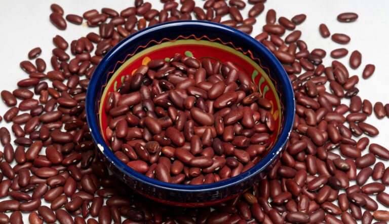 10 Reasons to eat Kidney Beans : Mohit Tandon Chicago